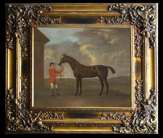 framed  Francis Sartorius The Racehorse 